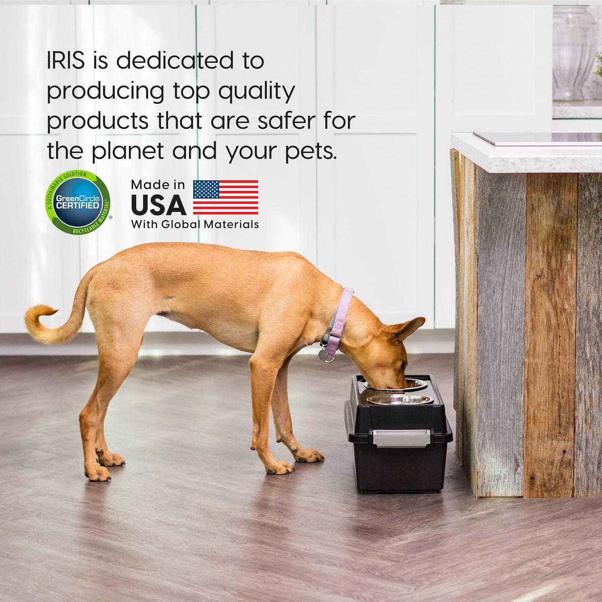 IRIS USA Elevated Dog Bowls 9" H, up to 13 lb Storage, Black, Made in USA | Comes with 2 Stainless Steel Bowls (32 oz), Elevated Feeder, Reduce Strain, Perfect for Camping & Outdoors 