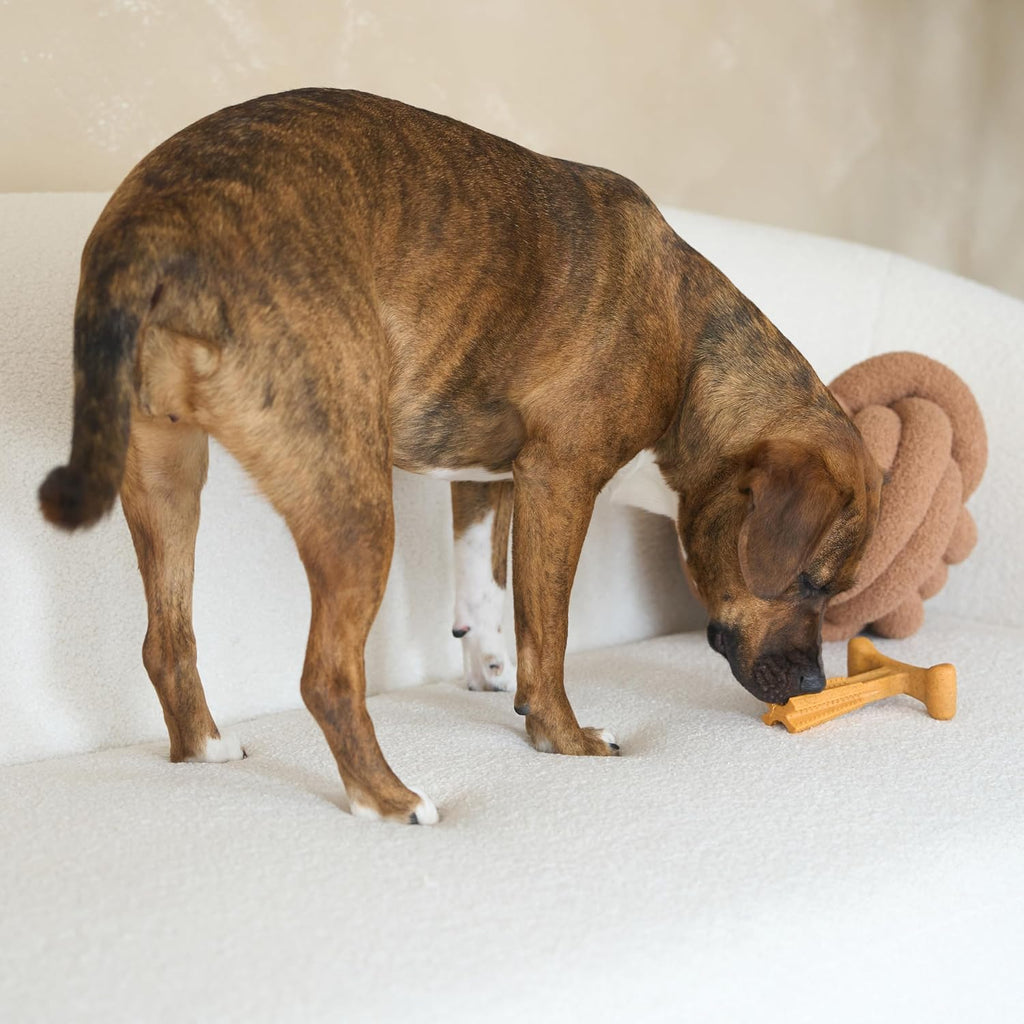 SPOT Bam-Bones Plus T Bone - Bamboo Fiber & Nylon, Durable Long Lasting Dog Chew for Aggressive Chewers – Toy for Dogs & Puppies Under 60lbs, Non-Splintering, 6in, Allergen Free Peanut Butter Flavor