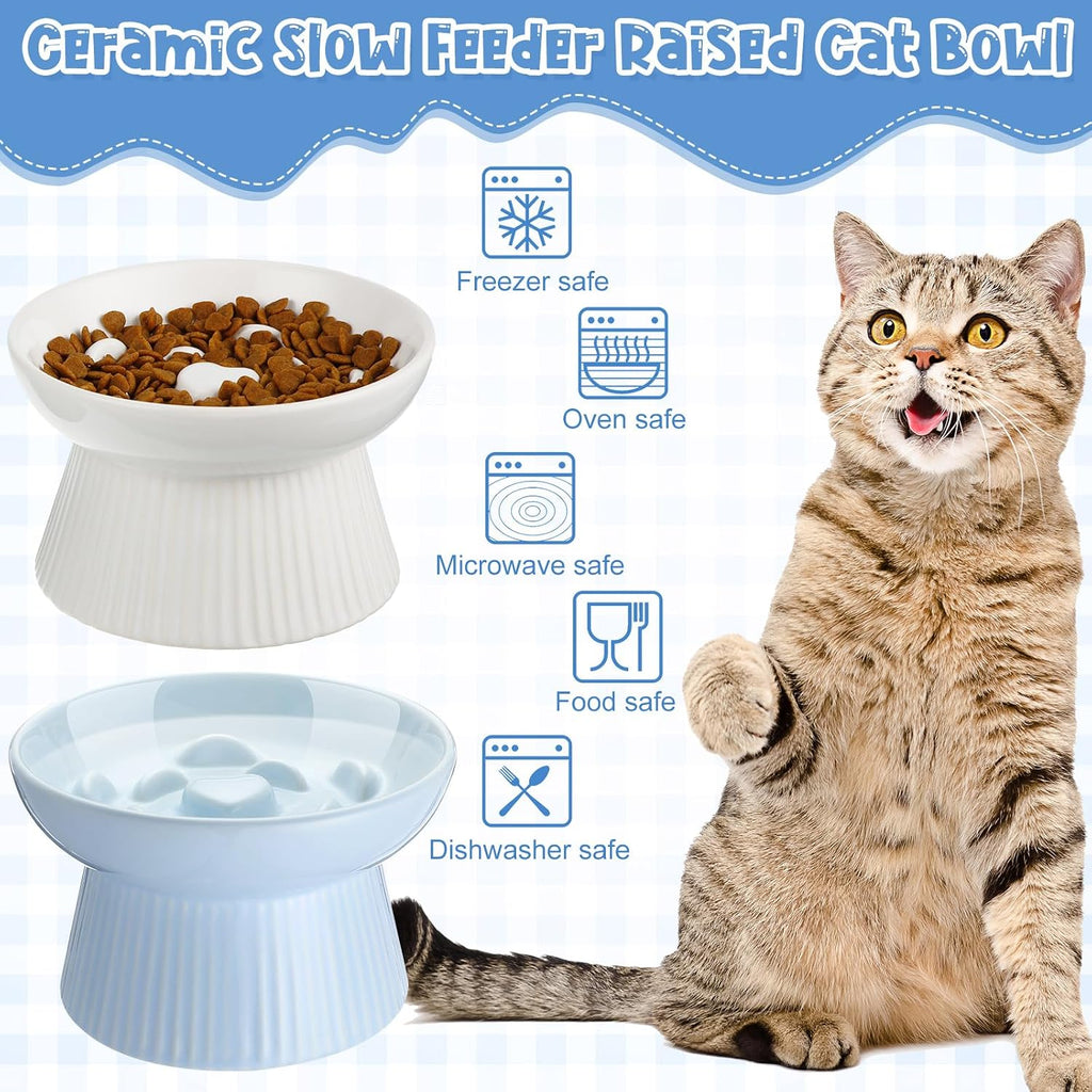 Tioncy 2 Pcs Ceramic Elevated Slow Feeder Cat Bowl, White, Blue