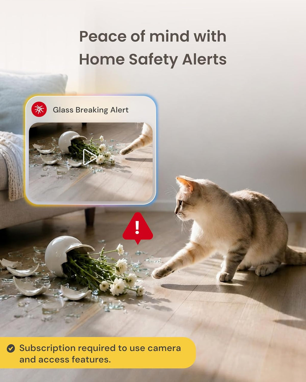 Furbo 360° Cat Camera [Paid Plan Required to Activate]