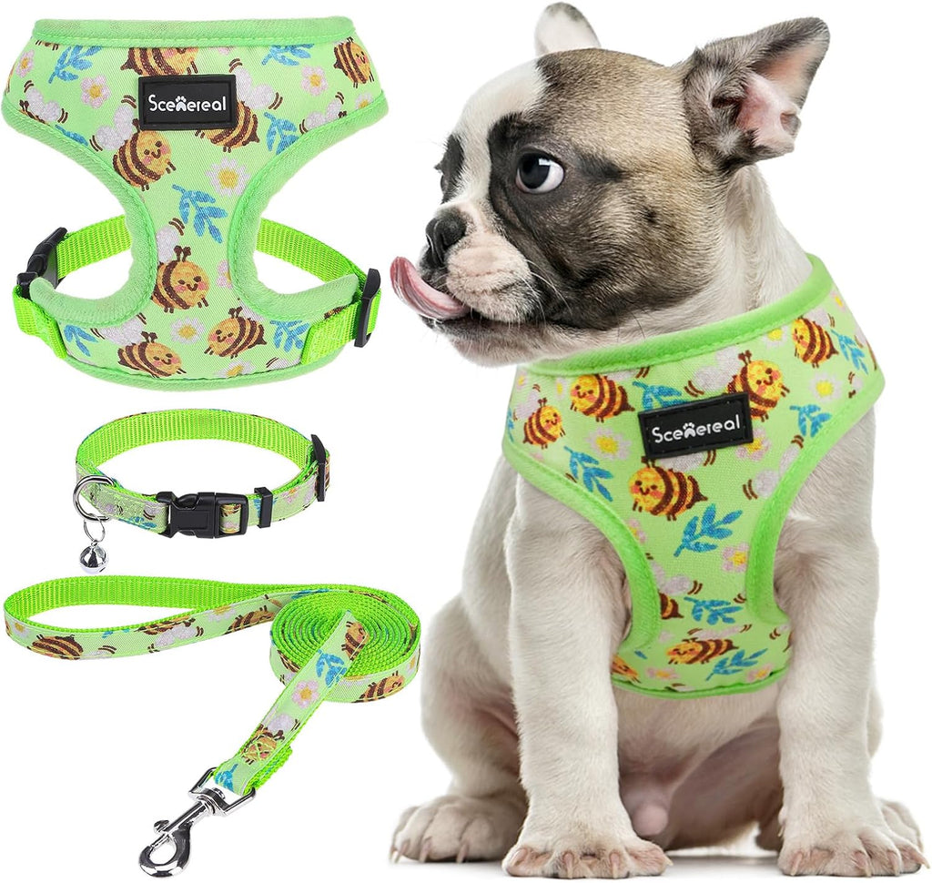 SCENEREAL Small Dog Harness and Leash Set, Bee, M