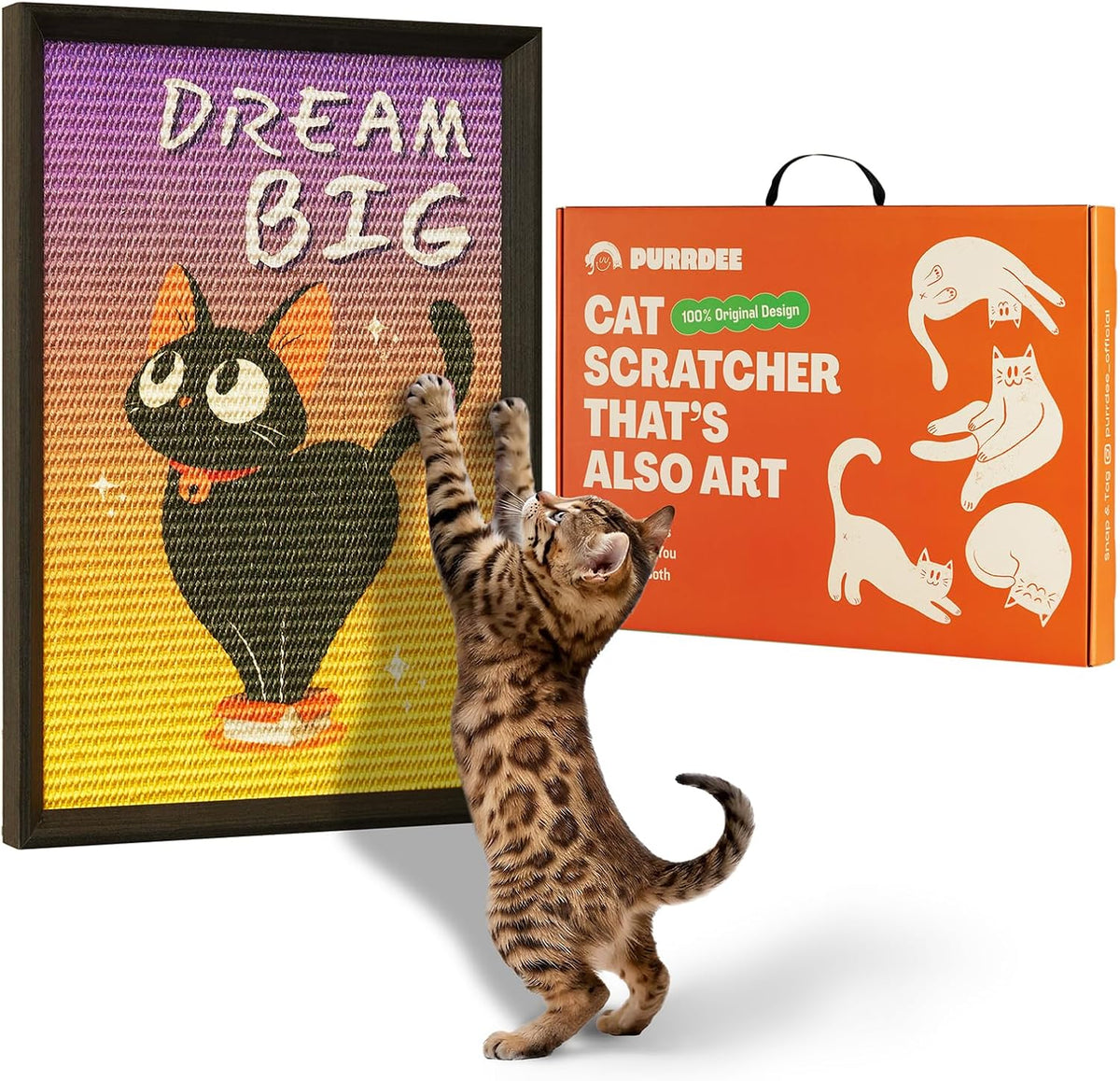 Decorative Wall Art Cat Scratcher Funny Cat Quote Sisal Scratch Pad