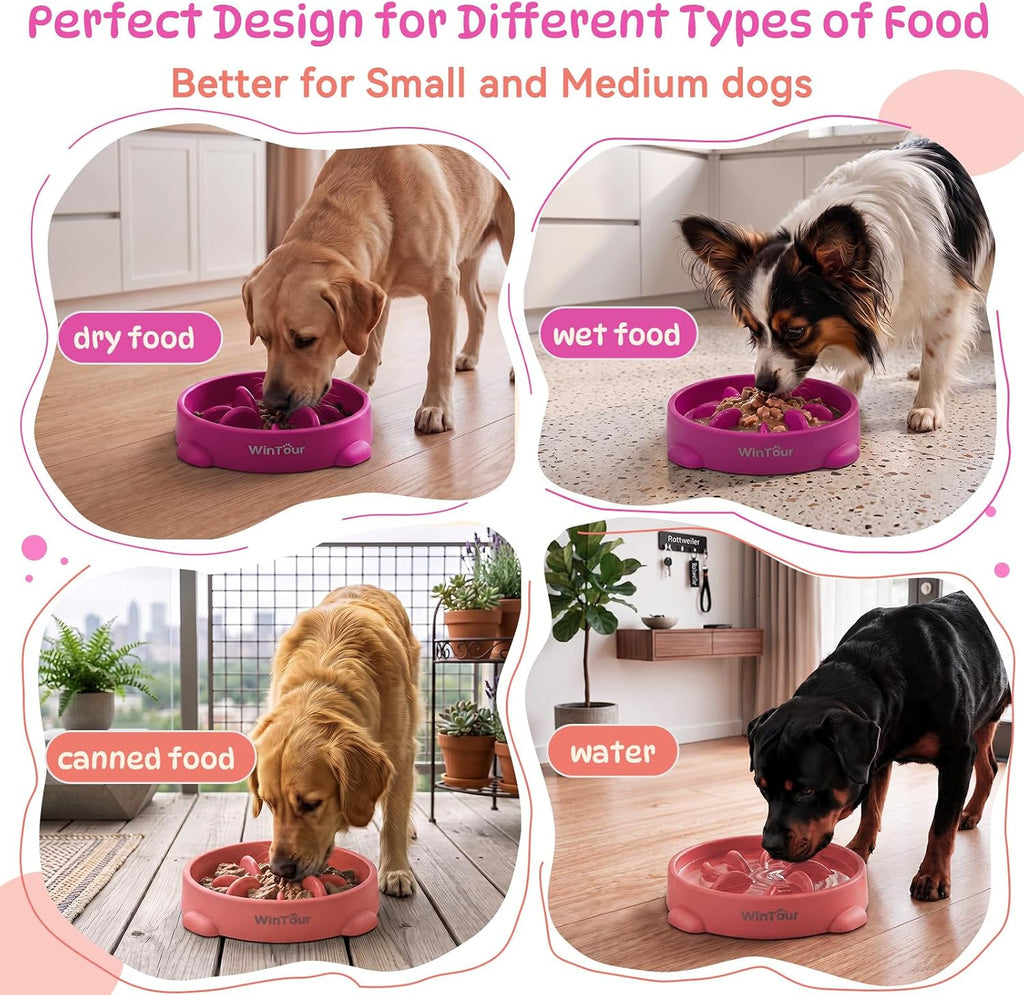 WinTour 2 Pack Slow Feeder Dog Bowls, BPA Free, Medium & Small Dog Bowls