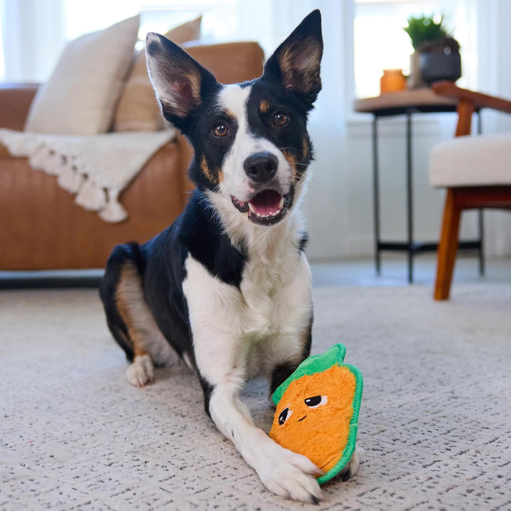Outward Hound Tough Skinz Durable Chew Plush Squeaky Dog Toy, Carrot, 9.8" | 4 Tough Layers, Triple Stitched Seams, No Stuffing, Less Mess, Jumbo Squeaker, Fetch & Toss, Tough Chewers, Dogs & Puppies