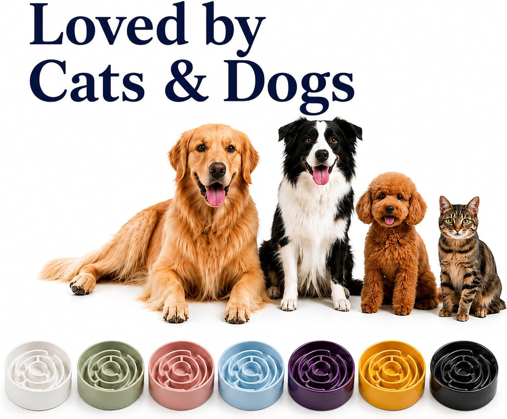 Ceramic Slow Feeder Dog Bowl, 1.5 Cup Puzzle Dish for Small Medium Dogs