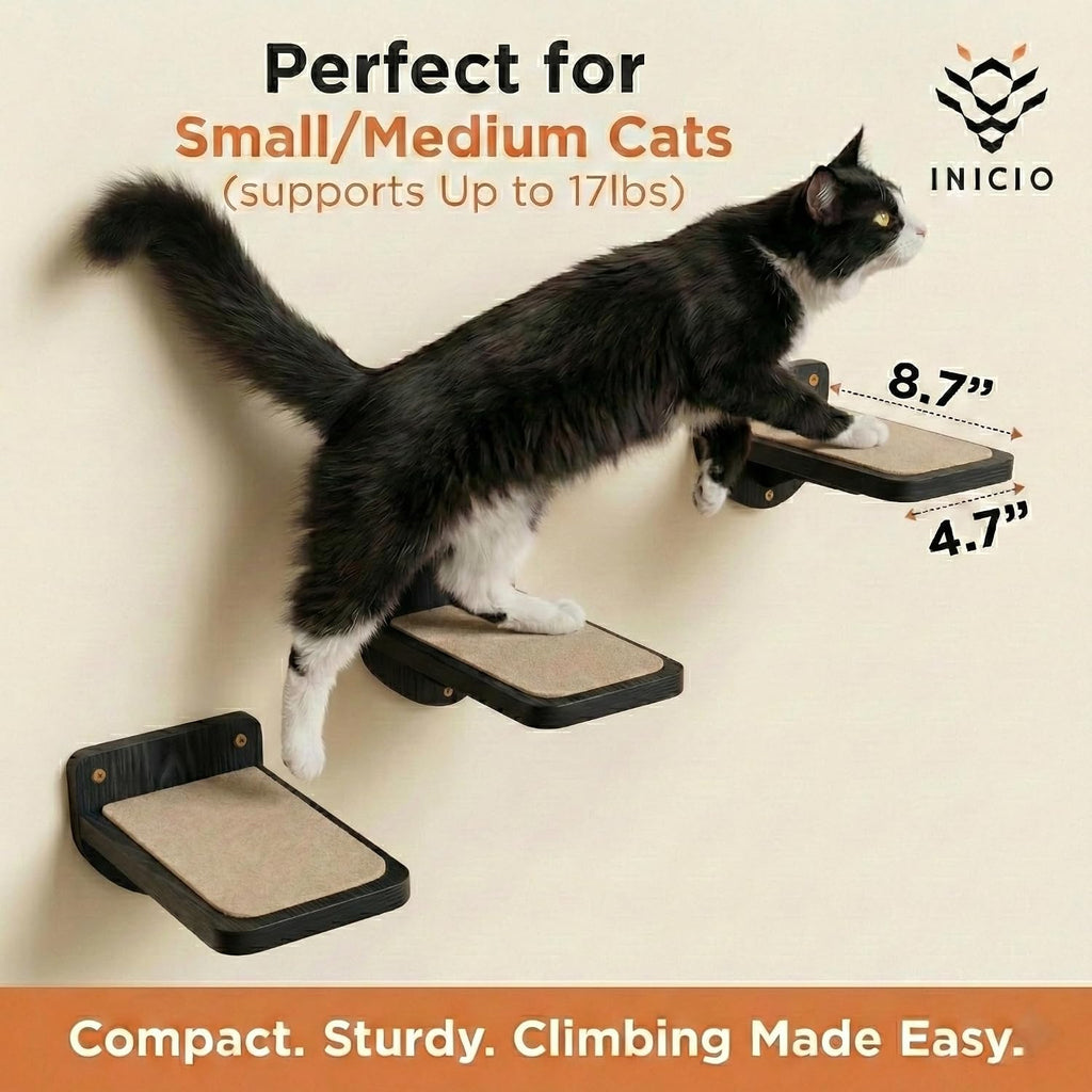 INICIO Cat Wall Steps, Set of 3, Black