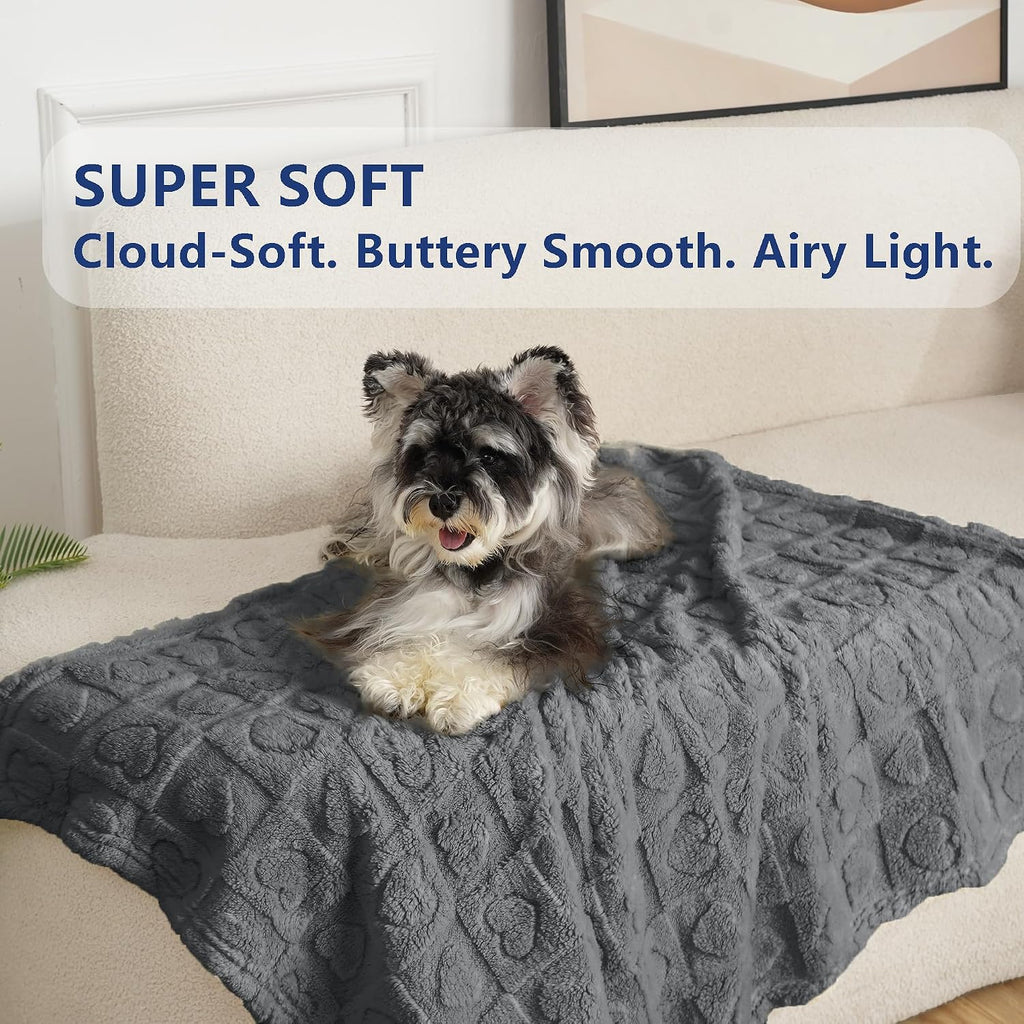 gogobunny Pet Blanket for Dogs Cats, 300GSM Ultra Soft Coral Fleece Blanket, Washable Small Dog Cat Blanket, Calming Crate Mat, Furniture Protector for Couch Bed Car Seat, Grey, 25x35IN