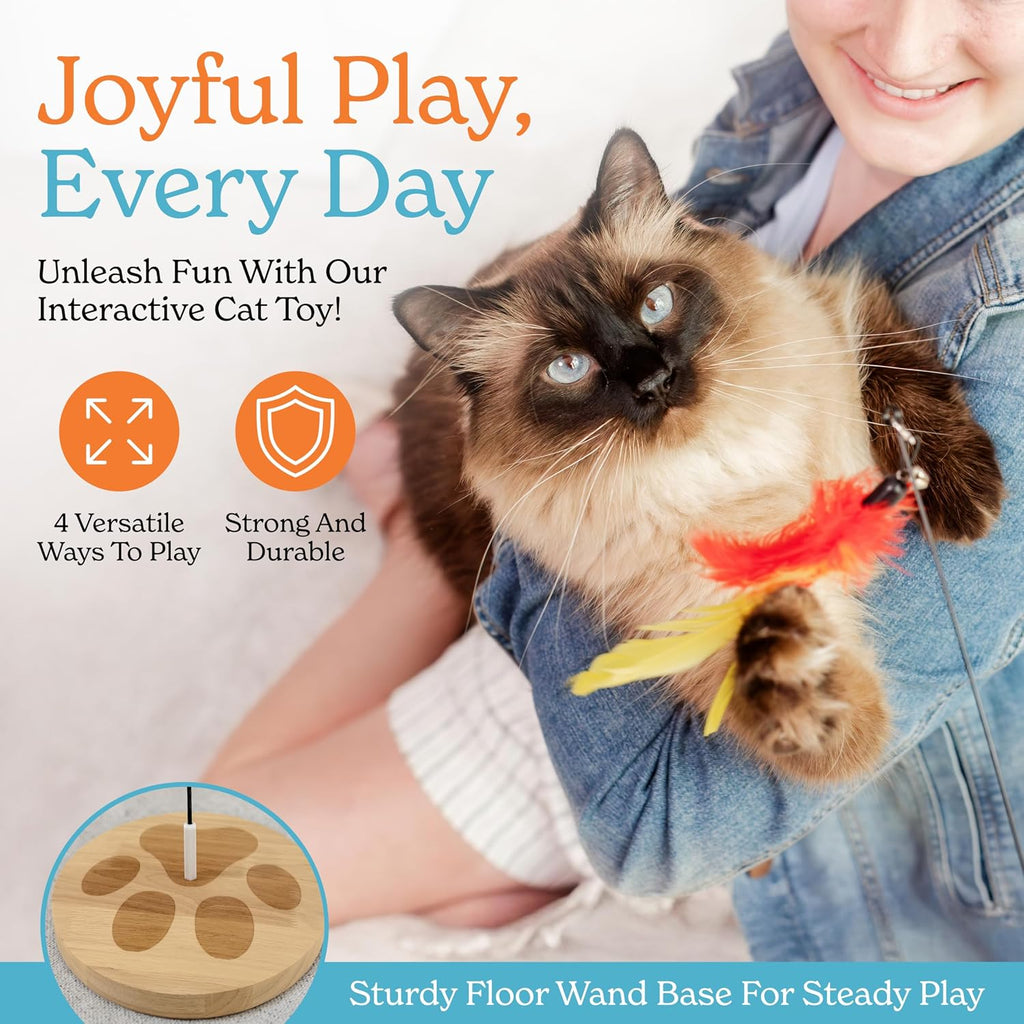 Cat Toys For Indoor Cats: Interactive Cat Toy Wand, 9 Feathers Wand Lures
