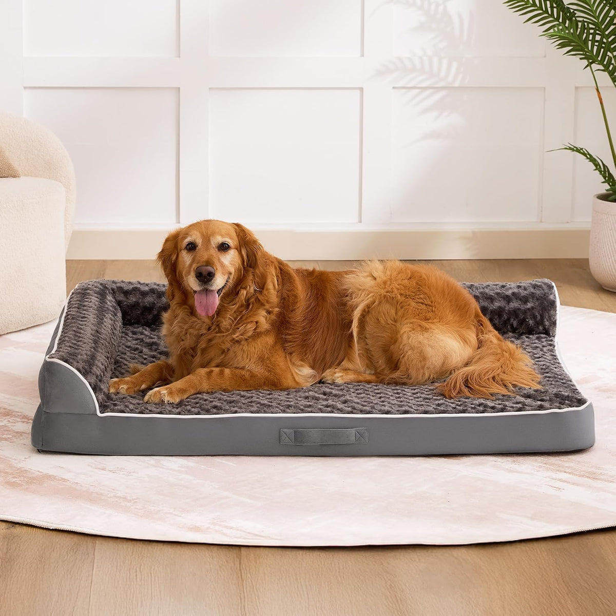 XXL Orthopedic Dog Bed, Extra Large Dogs, 48"x35", Dark Grey