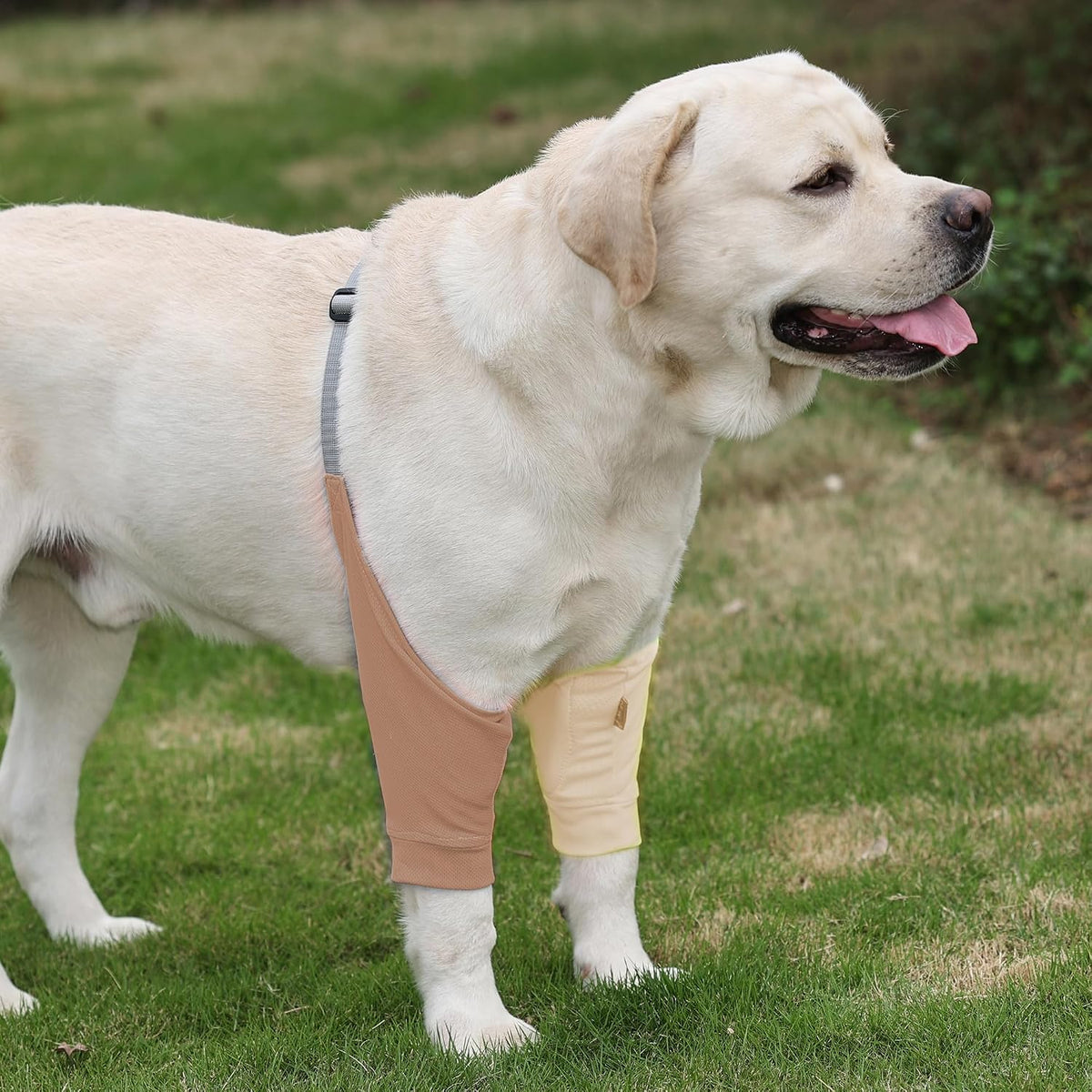 Dog Elbow Protector - Dog Sleeves for Wounds Front Legs, Keep the Elbow Wound Clean, with Inner Padding to Protect the Elbow Joint, Cone Collar Alternative to Stop Licking Wounds (Beige Brown,L)