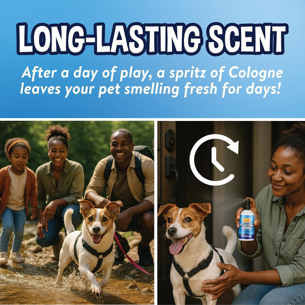 Bodhi Dog Natural Dog Cologne (Blueberry) - Premium Scented Deodorizing Pet Perfume with Conditioner for Dogs & Cats - Keeps Pets Fresh & Clean - Gentle and Safe Formula, Made in USA (4 Fl Oz)
