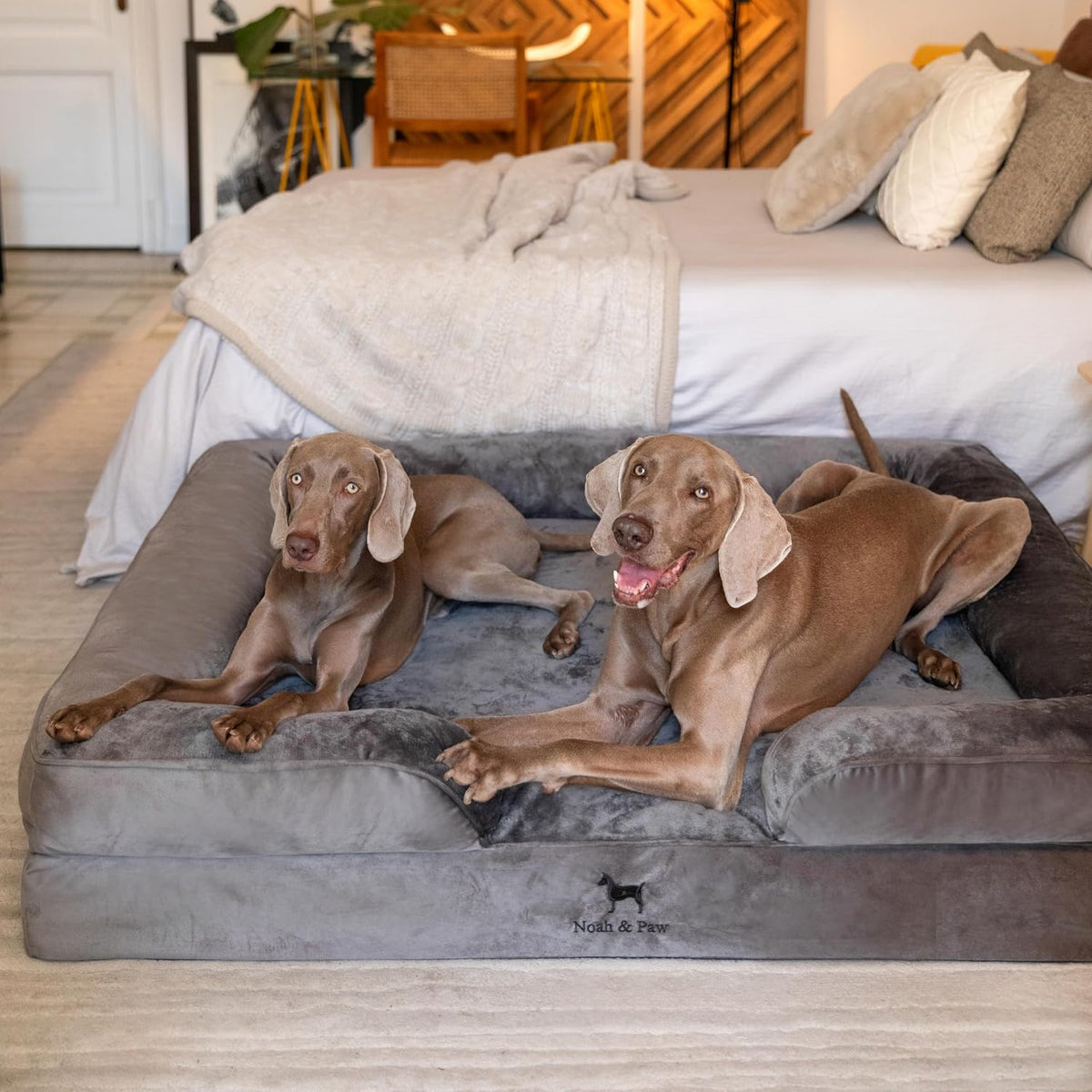 NOAH & PAW XXL Dog Bed, Orthopedic Memory Cooling Foam (2X Base) 55x45x11in