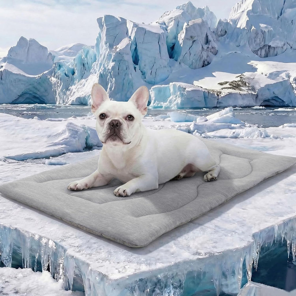 ASENKU Dog Cooling Mat, Portable & Durable Cooling Mat for Dogs, Summer Anti-Slip Breathable Cooling Bed for Small-Medium Dogs up to 35 lbs (French Bulldog, Beagle, Corgi), 32x20 inches, Grey Wave