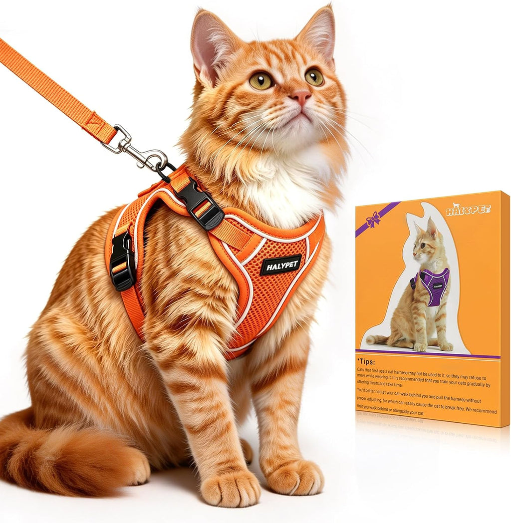 Cat Harness and Leash Set,Escape Proof Kitten Harness,Orange