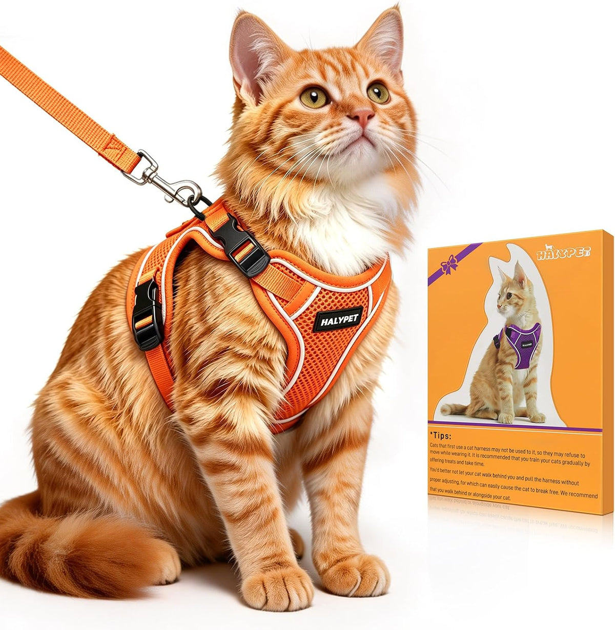 Cat Harness and Leash Set,Escape Proof Kitten Harness,Orange