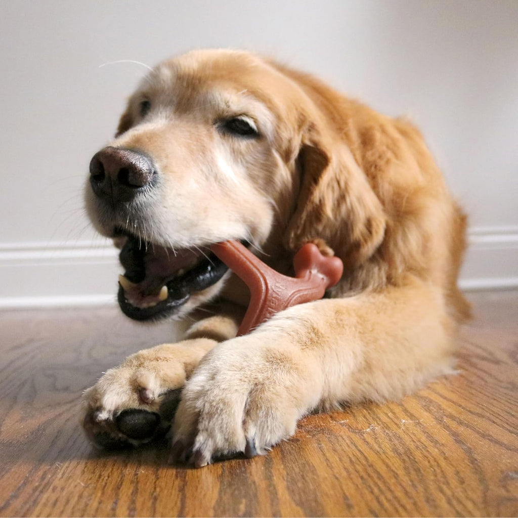 Nylabone Strong Chew Wishbone Dog Toy, Dog Toys for Aggressive Chewers | Durable, long-lasting dog bone, helps clean teeth, keeps dogs busy, easy-hold shape, for large breeds up to 50 lbs