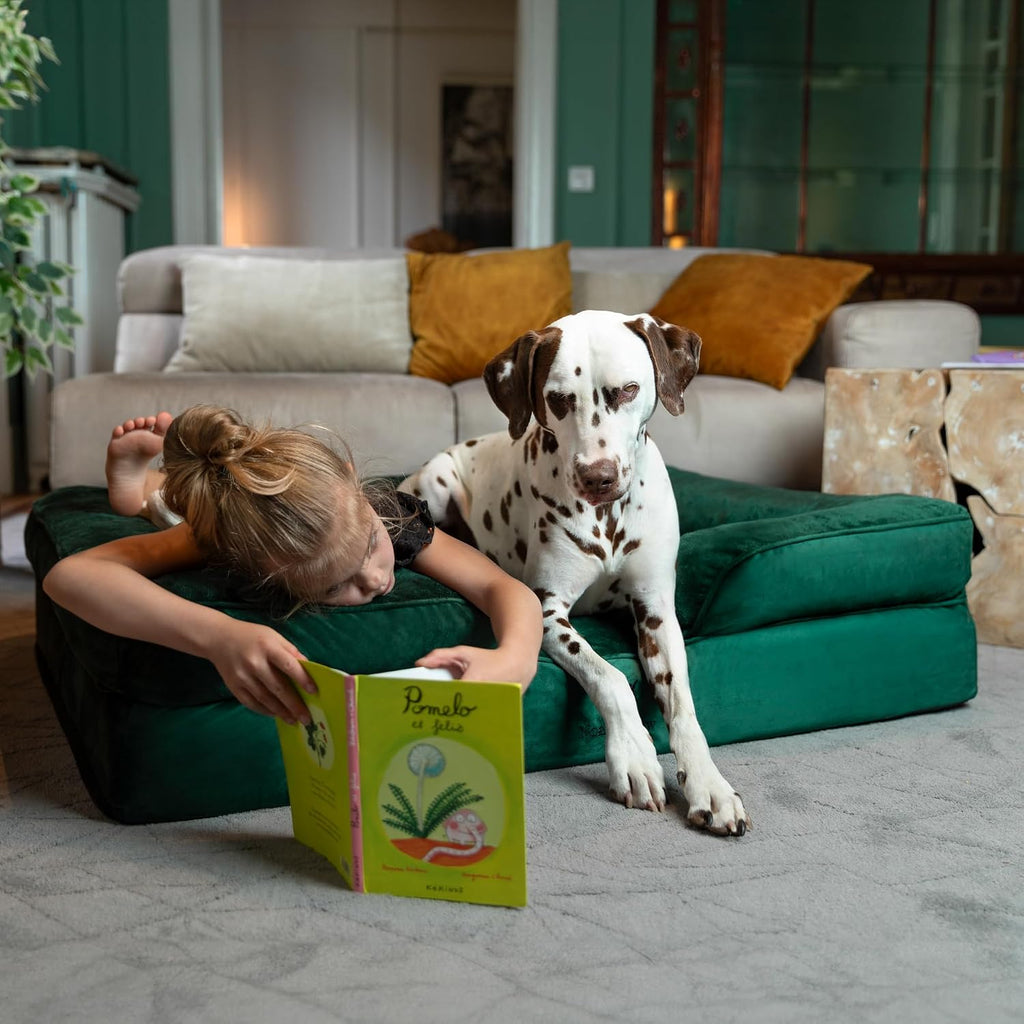 NOAH & PAW Large Dog Bed, Orthopedic Memory Cooling Foam (2X Base) 45x35x11