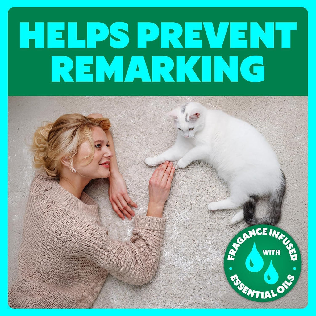 Shout Pet Stain Remover, Color-Safe Rug, Upholstery & Carpet Cleaner Solution for Dog & Cat Urine, Feces, Vomit & Mud, Fights Odors & Remarking, Fast-Acting Cleans in 5 Minutes or Less, 24.3oz