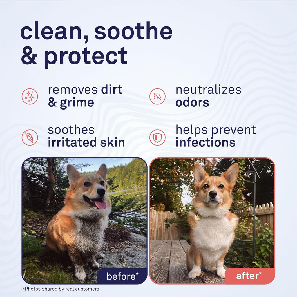 Petpost Large Grooming Wipes for Dogs | 70 Count Deodorizing Dog Cleaning Wipes with Coconut Extract & Aloe | Gentle Pet Wipes with Cherry Blossom Scent for Full-Body Grooming 