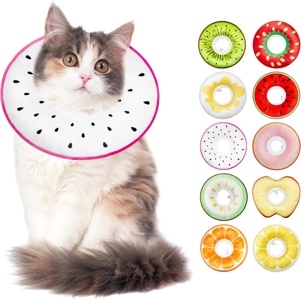 Cat Cone Collar Soft, Cat Recovery Cone (Dragonfruit, L)