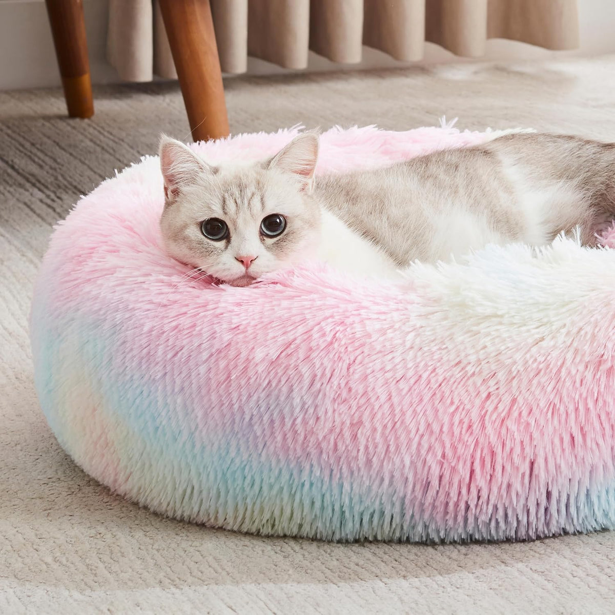 Western Home Calming Donut Cat Bed Small Dog Bed Washable,20" Rainbow