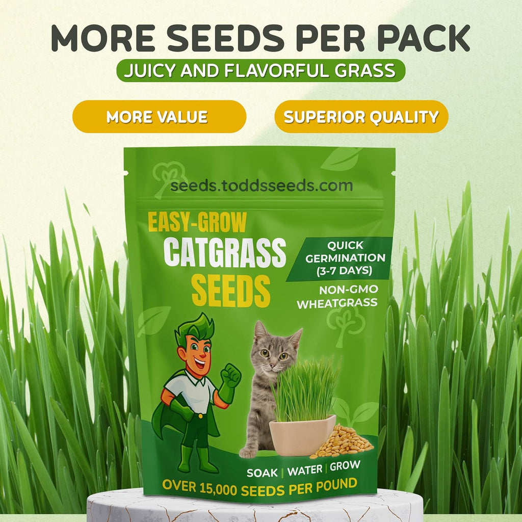 Todd's Seeds Cat Grass Seeds for Indoor Cats, 1lb Wheat Grass Seeds