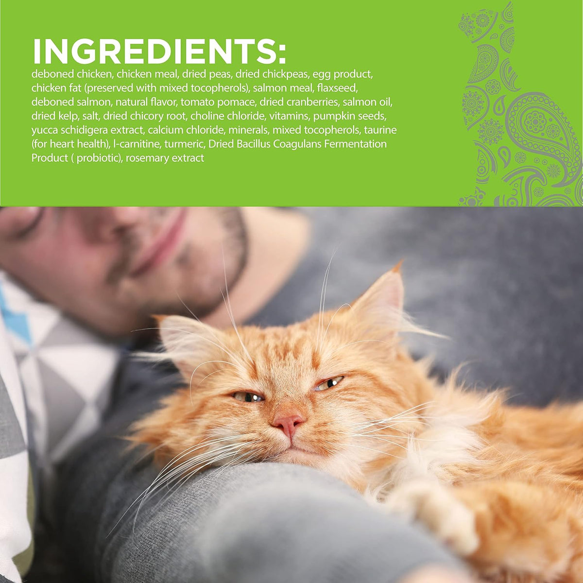 PURELUXE Grain and Gluten Free Cat Food, Persian Cat Elite Nutrition, Salmon, for Persian Cats at All Life Stages and Breeds, Made in The USA, 11lbs