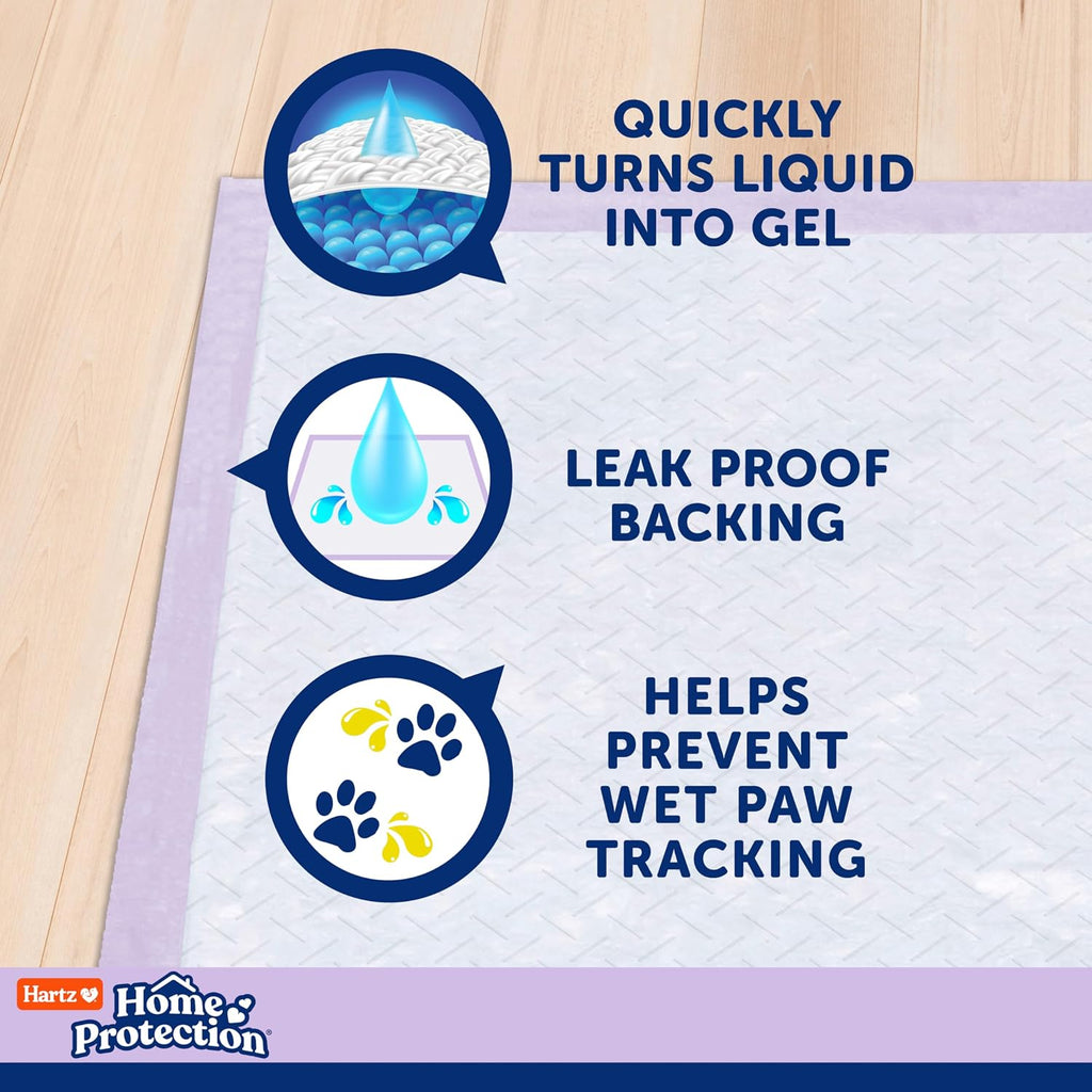 Hartz Home Protection Super Absorbent Odor Eliminating Lavender Scented No Leak Dog Pads, XXL 40 Count (Pack of 2)