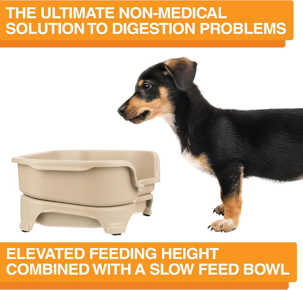 Neater Feeder Express Mess Proof Dog Bowls Elevated for Small Breed – Made in USA – No Spill Raised Slow Feeder Elevated Dog Bowl Stand, Stainless Steel Food and Water Bowl Set, Almond