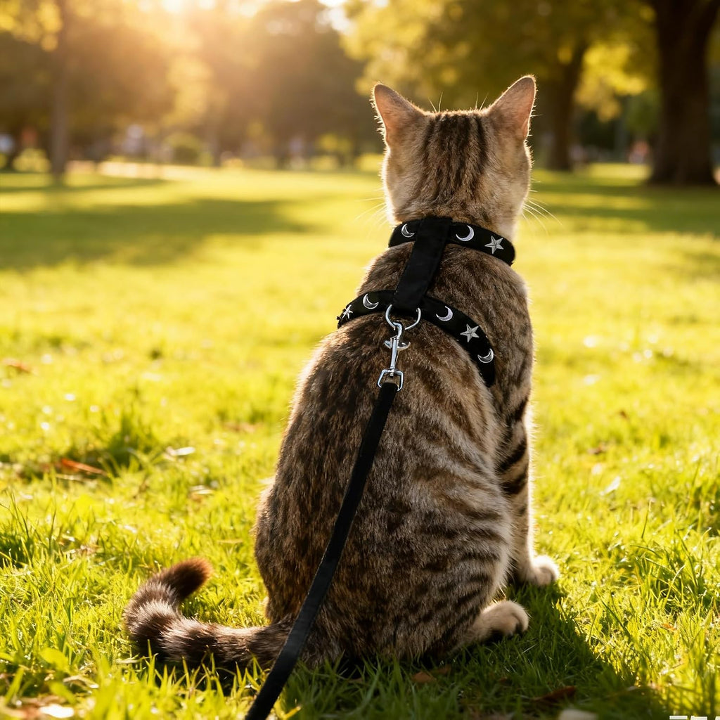 EXPAWLORER Cat Harness and Leash Set - Escape Proof Adjustable Cat Harness, H-shped Comfortable Soft Lightweight Kitten Harness for Outdoor Walking, for Small Medium Cats,Star-Moon S