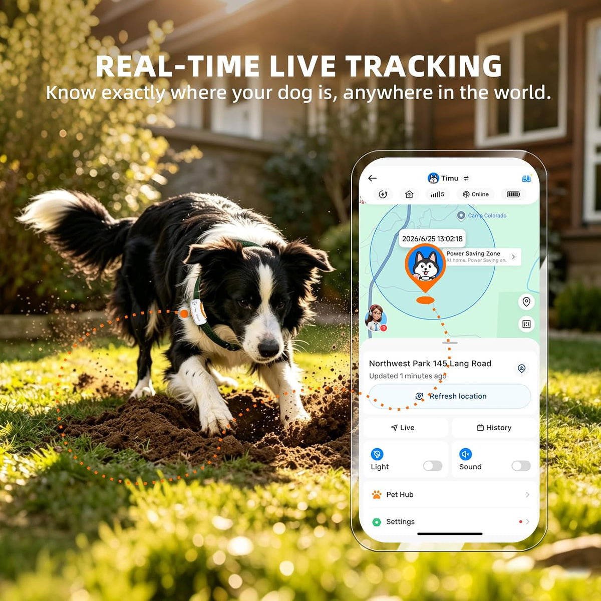 DBDD GPS Tracker for Dogs with 36 Month Subscription, Real-Time Location, Electronic Fence, Health Monitoring, Waterproof, for Medium Large Dogs, iOS Android