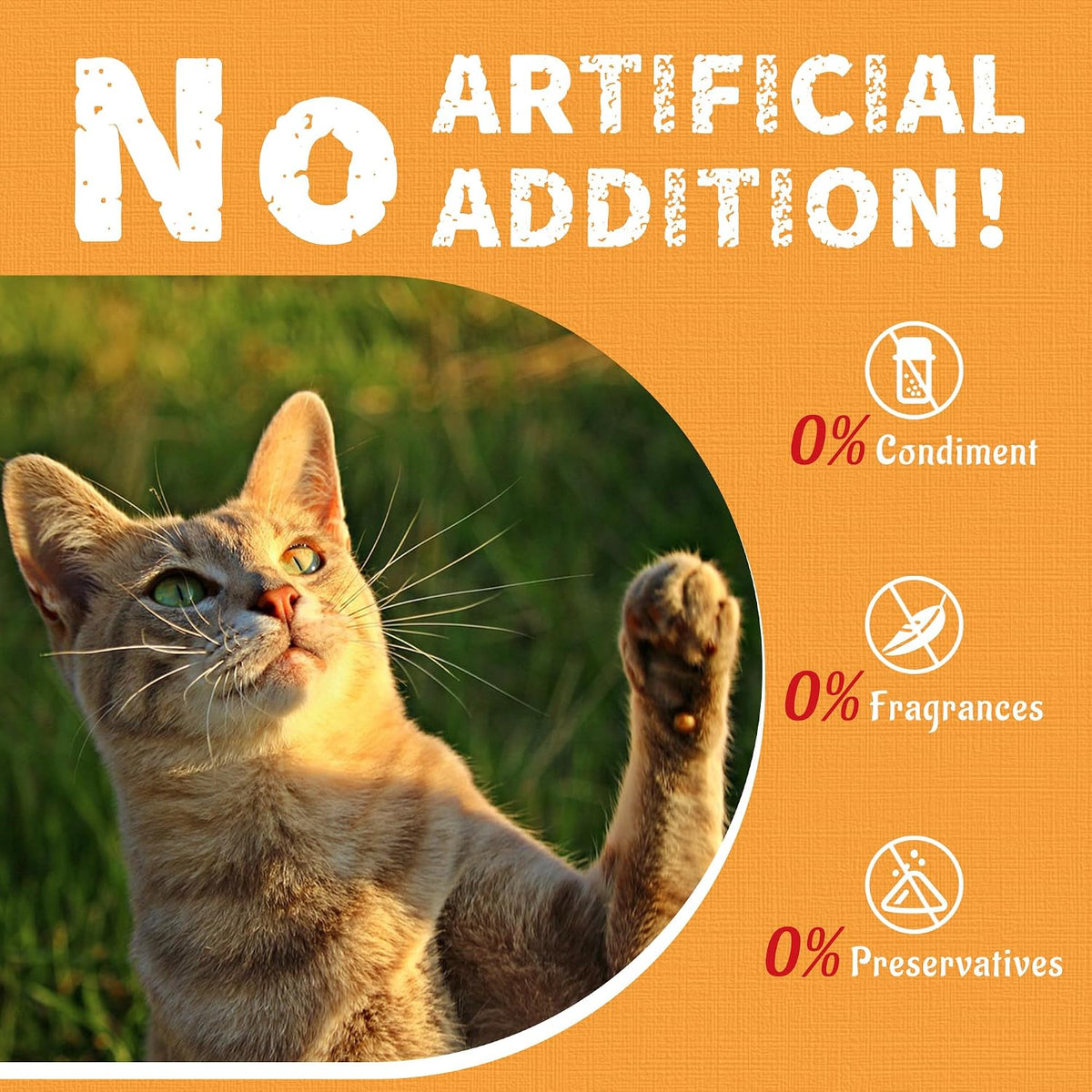 Just Try Cat Grass Treats with Cranberry & Pumpkin, 36 oz