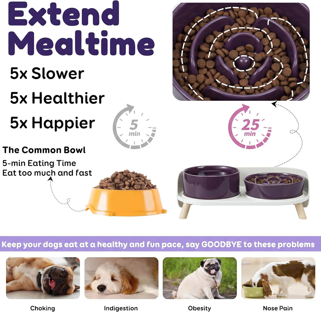 Elevated Slow Feeder Dog Bowls with Splash Proof Stand, Slow Eating 5X | 6.5″ Dog Slow Feeding Bowls & 6.1″ Dog Food Dish, Non-Slip Raised Food and Water Bowl Set for Small and Medium Breeds, Purple