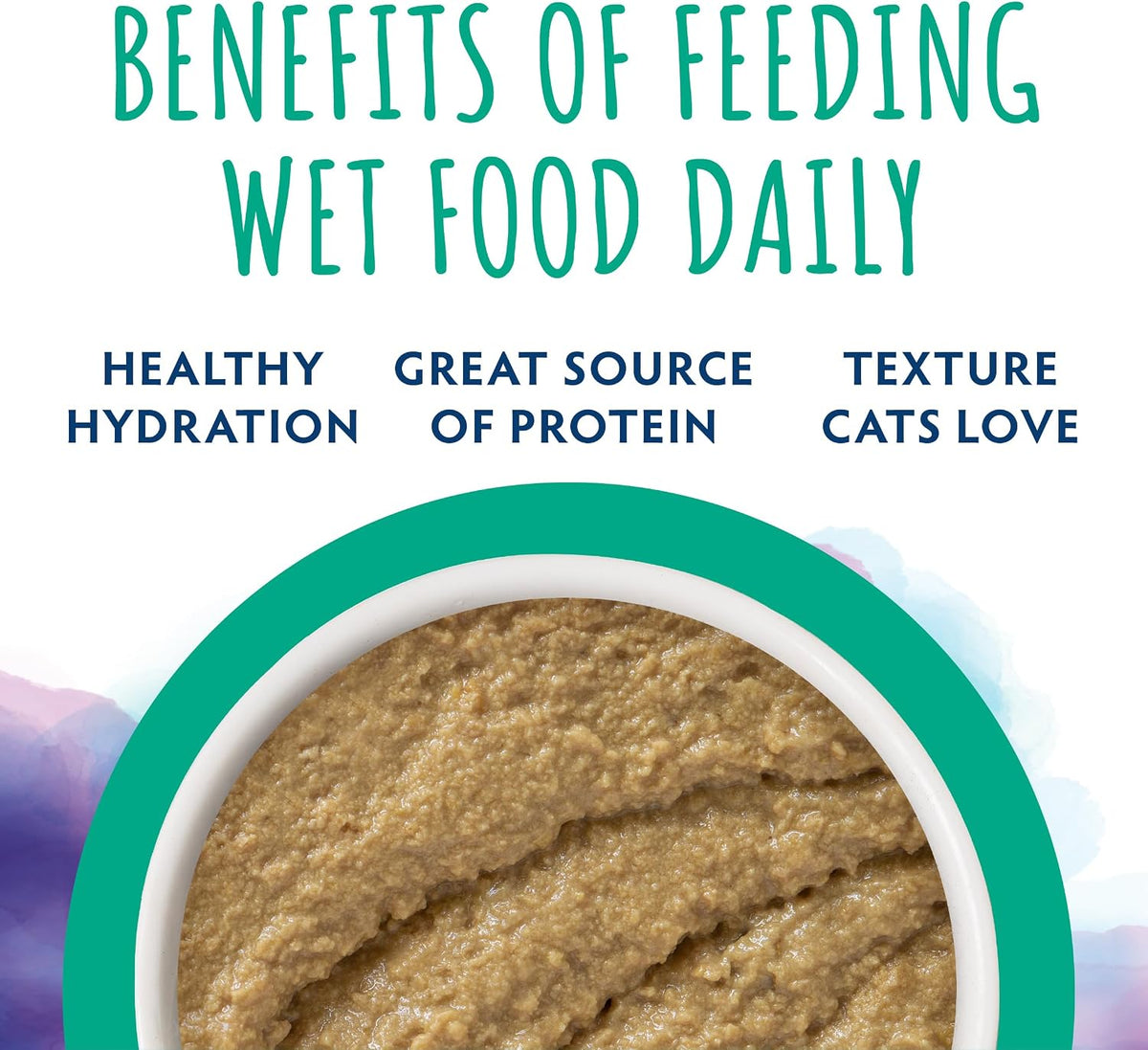 Soulistic Paté Wet Cat Food, Chicken and Turkey Dinner in a Hydrating Purée, 5.5oz Can, Pack of 8