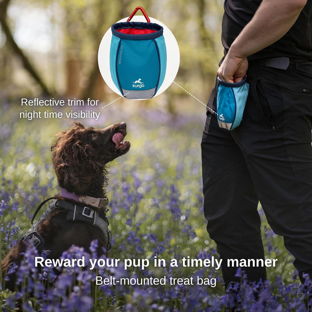 Kurgo Go Stuff It Dog Treat Bag, Coastal Blue