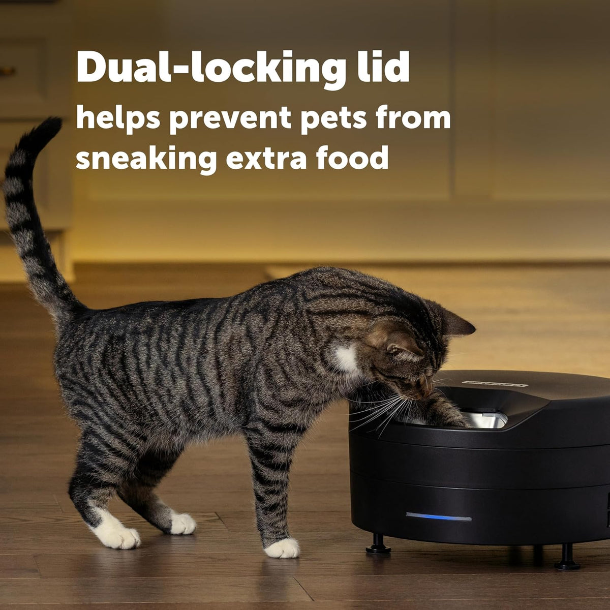 PetSafe FreshFeed Refrigerated Automatic Wet Food Feeder, 6 Meals, Black