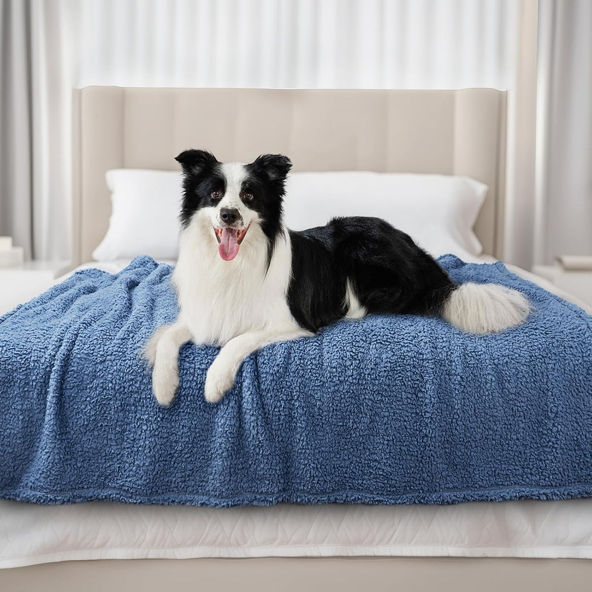 Luciphia Ultra Soft Sherpa Fleece Dog Puppy Cat Blanket for Small Pets