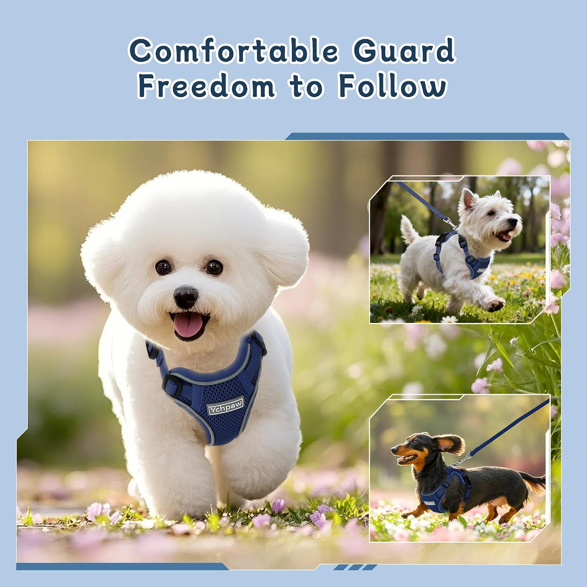 Small Dog Harness and Leash Set, Adjustable Small Sized Pet Vest