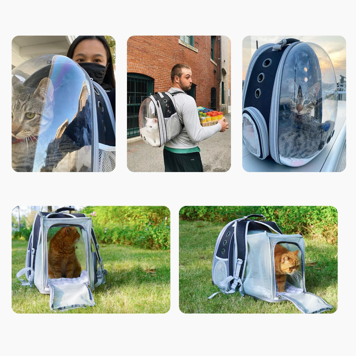 Lollimeow Expandable Bubble Cat Carrier Backpack, Supports up to 14 lbs