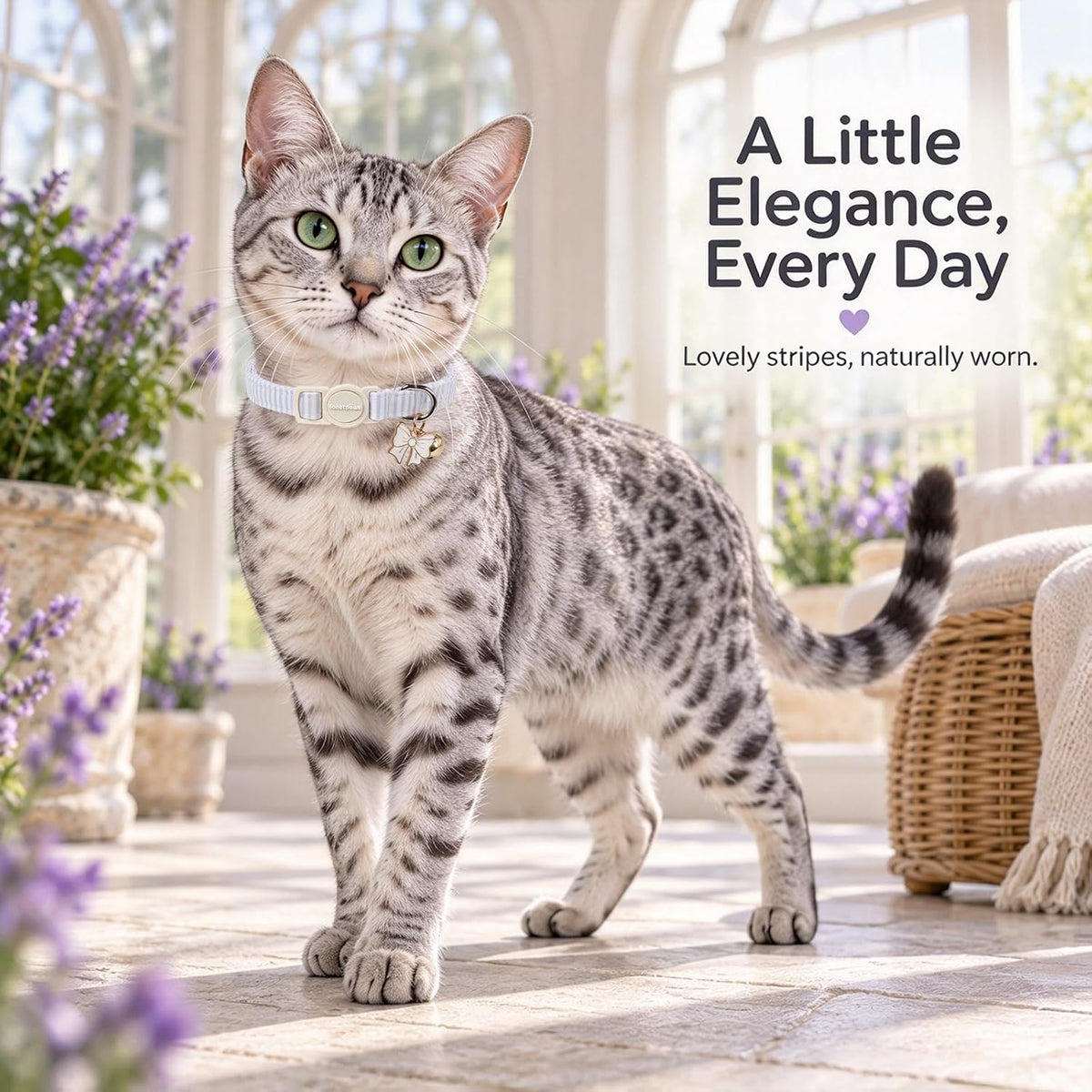 lionet paws 2 Pack Cat Collar Breakaway with Bells-Purple & Pink Stripe