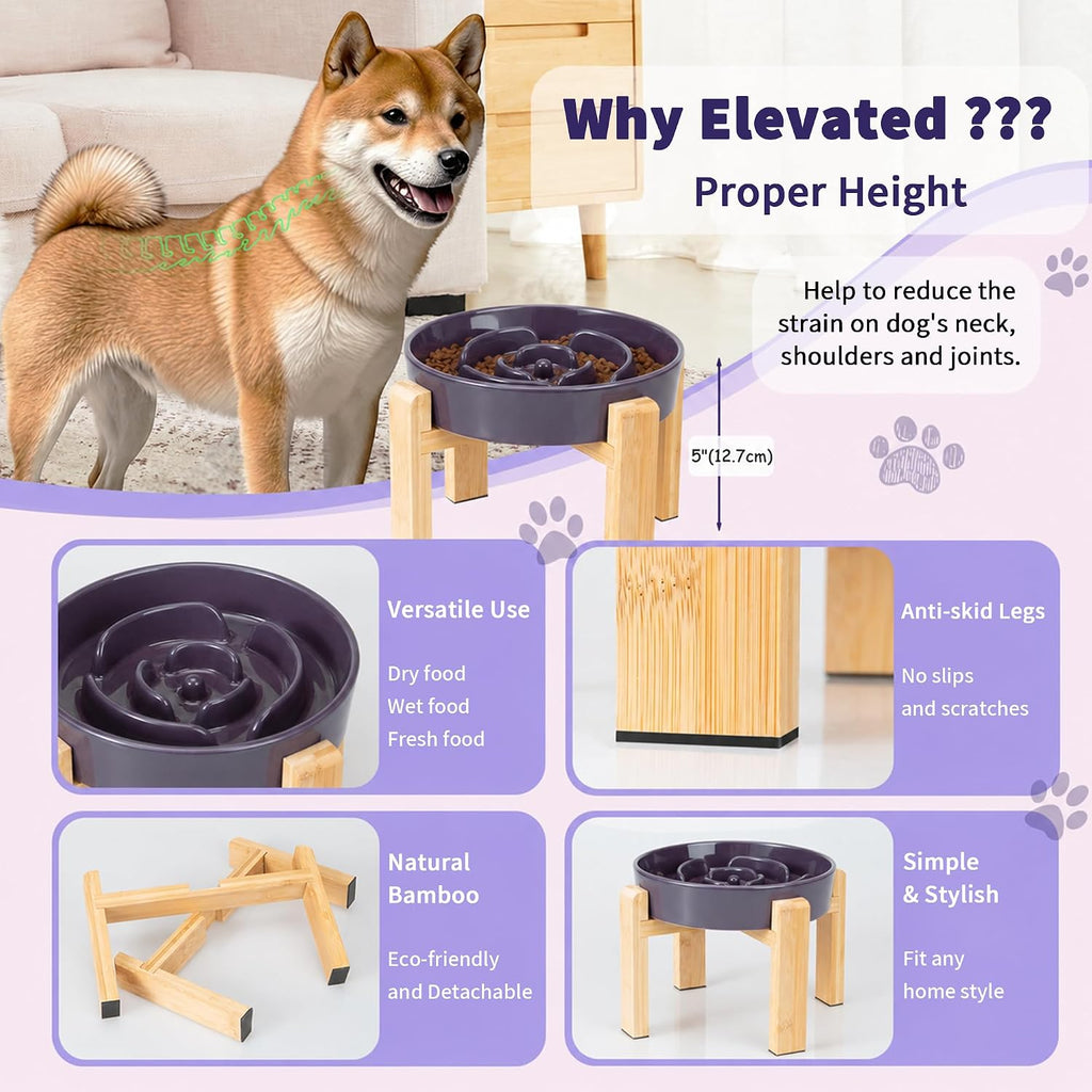Elevated Slow Feeder Dog Bowl, 8.8" Ceramic Maze Dog Bowl with Stand