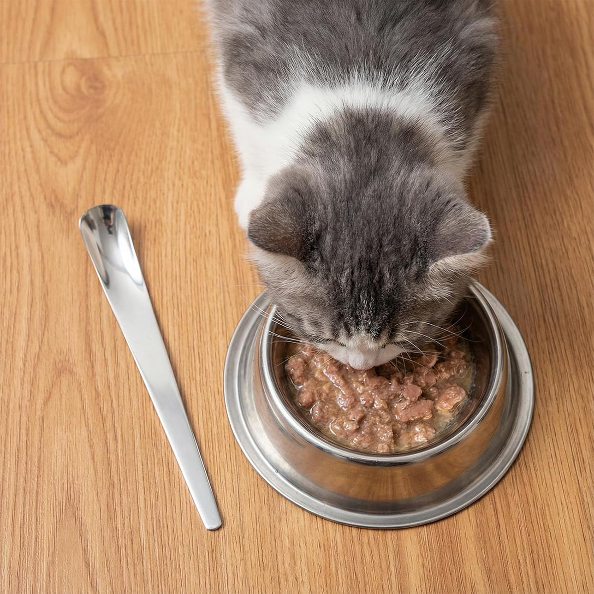 2 Pcs Dog Cat Spoon Pet Can Spoons Stainless Steel Can Scoop Portable Pet Feeding Spoon Long Handle Food Scoop Wet Food Storage Feeder for Wet Foods and Cans