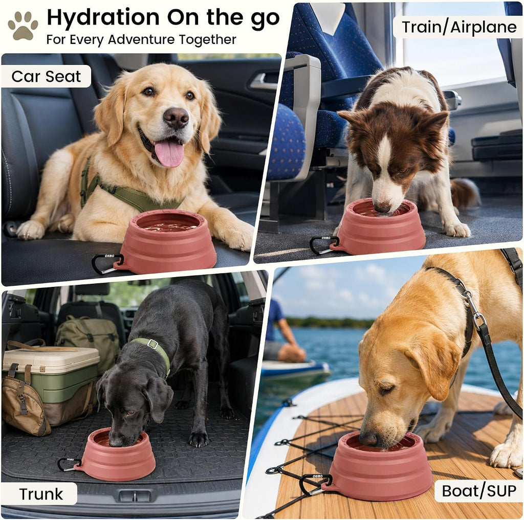 OHMO Spill Proof Collapsible Dog Bowl, 34oz Portable Dog Water Bowl | Low Center Gravity Stability, Tapered Splash Control, Foldable, Dishwasher Safe, Dog Travel Essential, Erythrinus