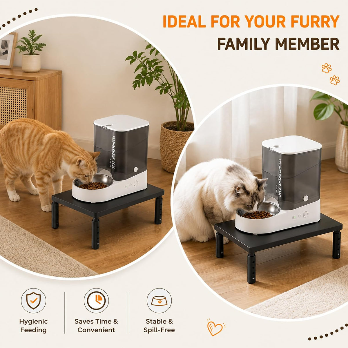 ECOLOVI Height-Adjustable Cat Food Stand, Elevated Cat Feeder Stand for Automatic Feeder & Bowls, Lifted Cat Food Table Station, Raises Feeder/Bowl, Relieves Spine and Joints Noticeably, Black
