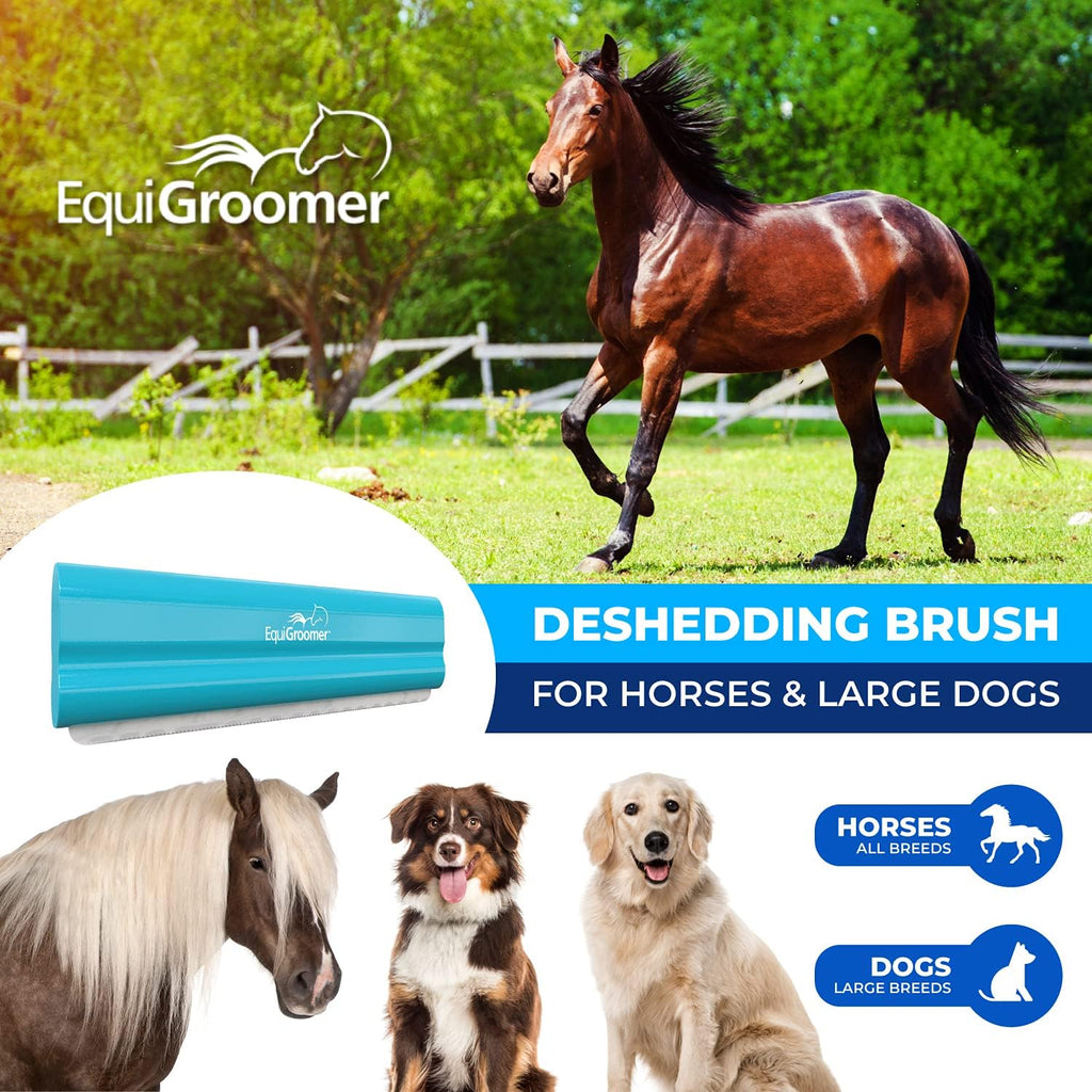EquiGroomer 8-Inch Deshedding Brush for Dogs & Horses, Turquoise | Best for large dogs 50 lbs and up, plus horses and ponies, thick coats, stainless blade, gentle on skin 