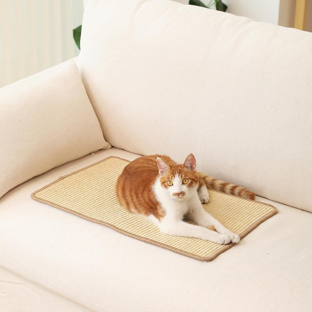 FUKUMARU 2 Packs Cat Scratching Mat, 19.6 x 11.8 Inch Cat Scratcher Pad