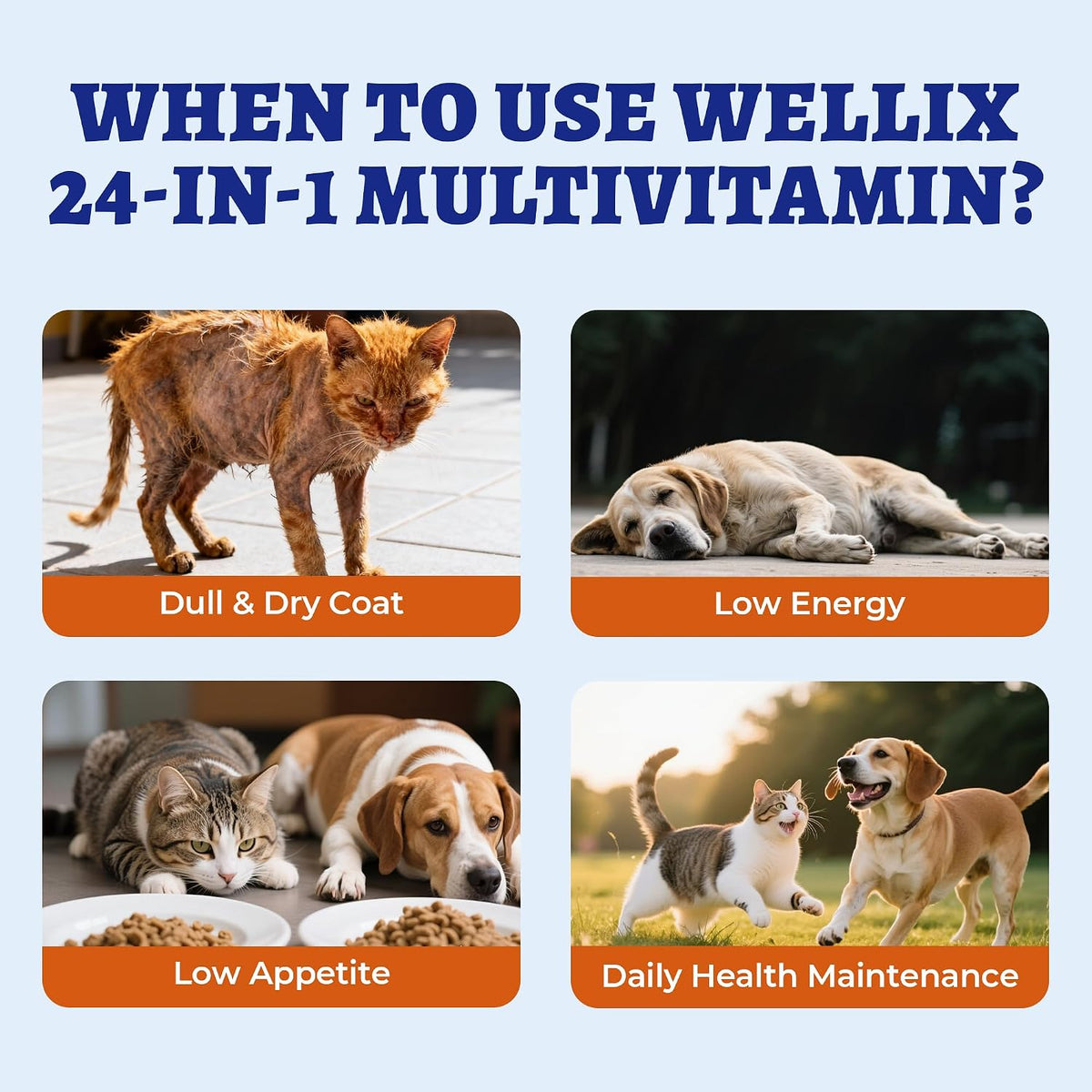 Wellix 24-in-1 Liquid Multivitamin with Taurine for Dogs and Cats 2.03Fl Oz