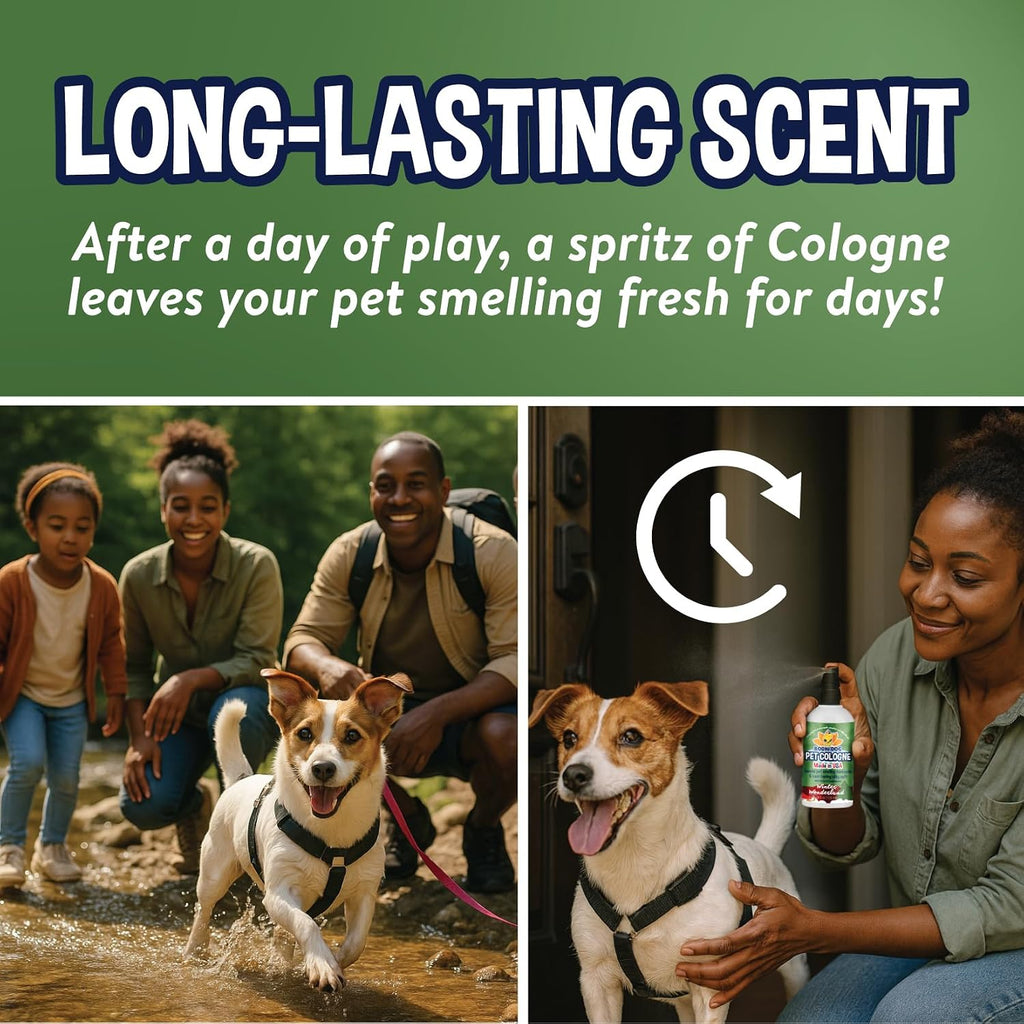 Bodhi Dog Premium Dog Cologne - Deodorizing Dog Perfume & Conditioner for Dogs & Cats - Natural Long Lasting Spray for Pets - Gentle & Safe Formula, Made in USA (Winter Wonderland 4 Fl Oz)