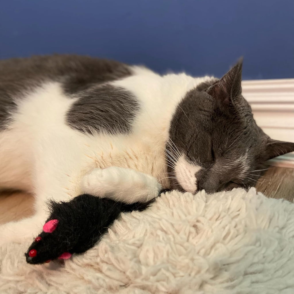 SPOT Shaggy Plush Ferret - Interactive Rattle and Catnip Fuzzy Toy for Indoor Cats and Kittens, Large Size Perfect for Pouncing, Chasing, Hunting, 11 Inches (Pack of 2)