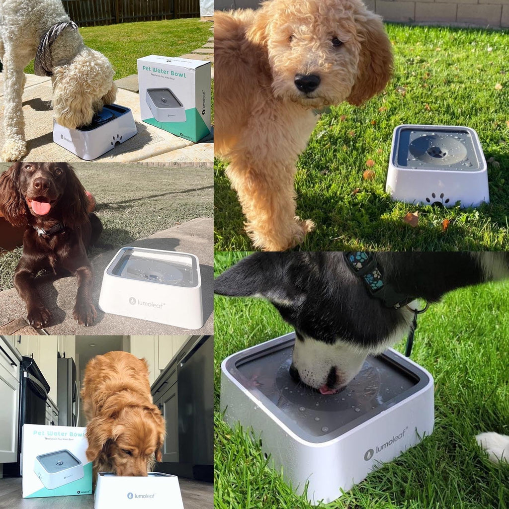 LumoLeaf No Spill Water Bowl for Dogs with Filter, 70oz/2L, Slow Feeder for Messy Drinkers, Drip-Free & Splash-Proof Design (Grey, 70 fl oz) (Grey 70 fl oz) 